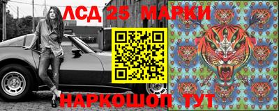 гидра Керчь