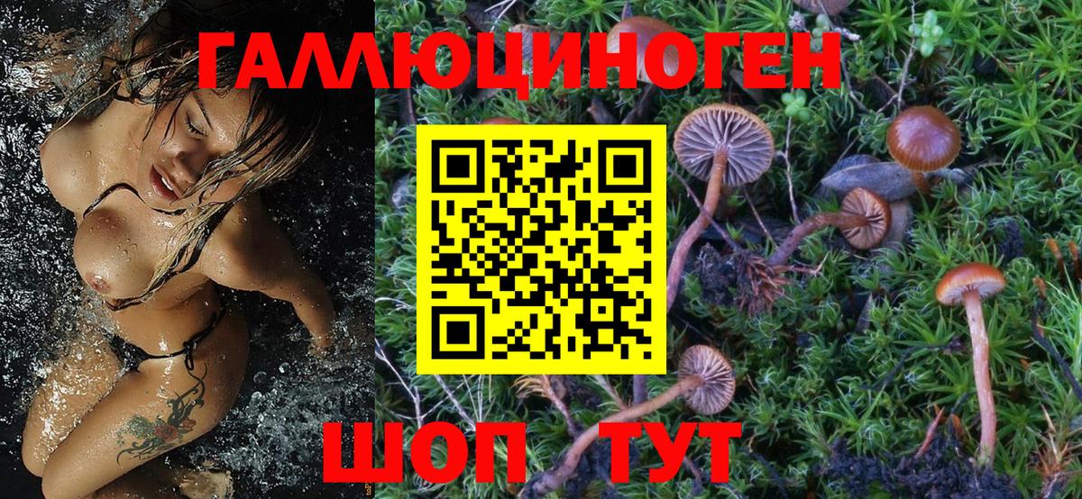 Галлюциногенные грибы Cubensis Балашиха