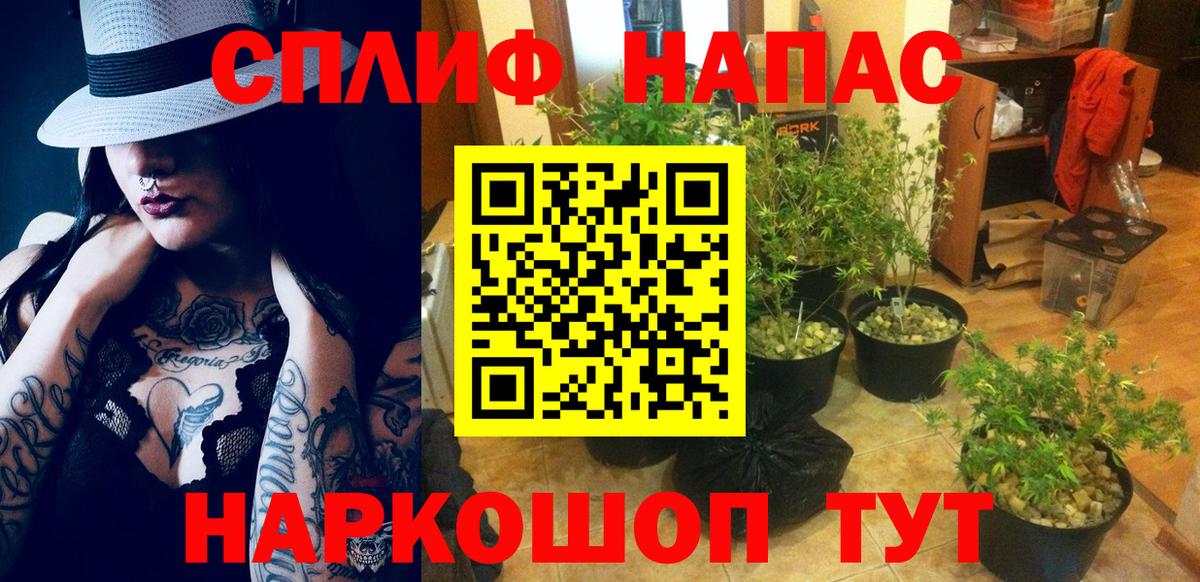Балашиха  МАРИХУАНА Bruce Banner  Бошки Шишки MAZAR  Вход с VPN  Каннабис THC 21% 